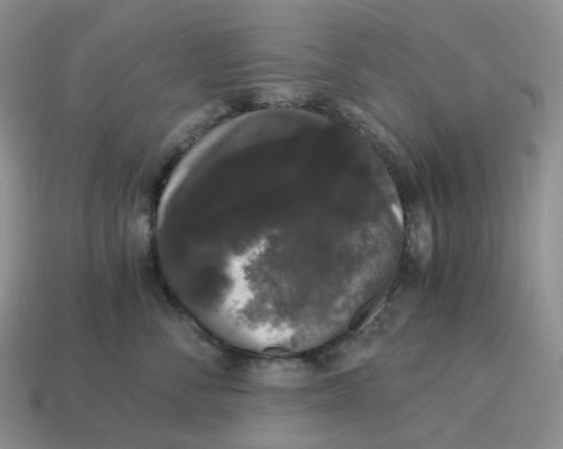 X0000114520716200911091150