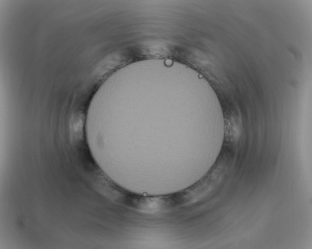 X0000114520717200911091150