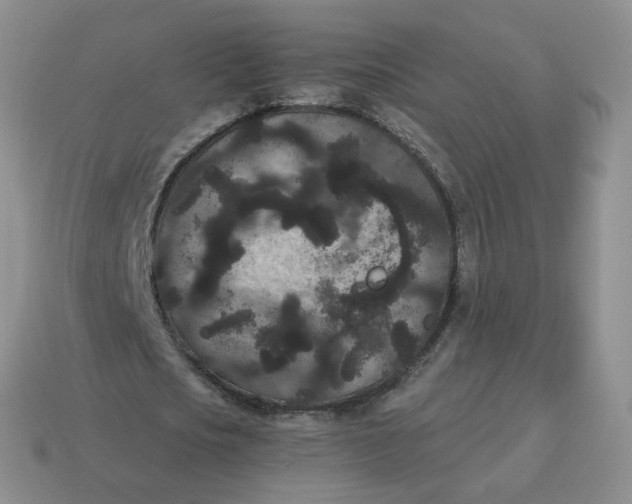 X0000114520721200911091150