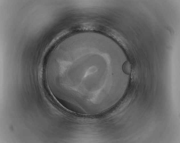 X0000114520722200911091150