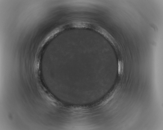 X0000114520723200911091150