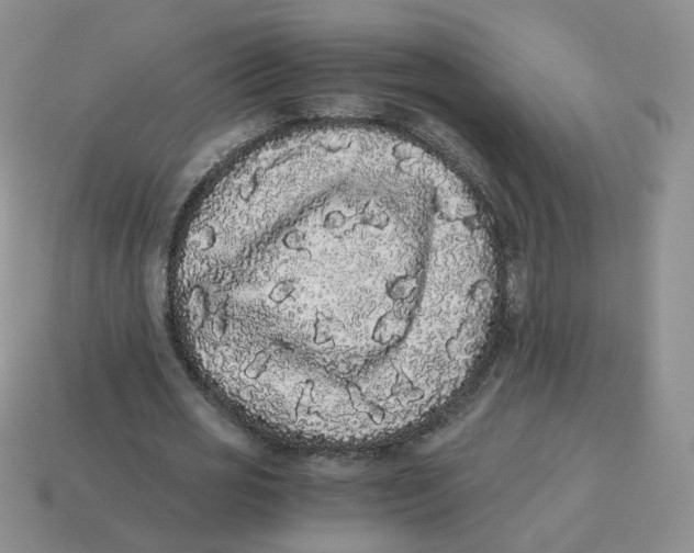 X0000114520725200911091150