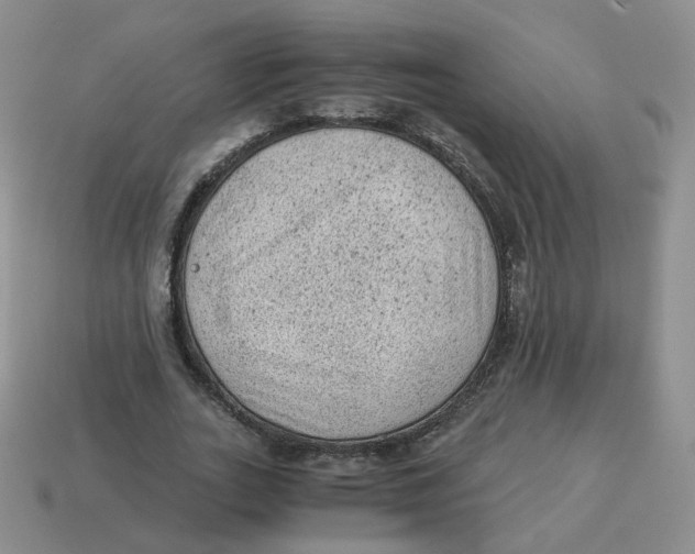 X0000114520727200911091150