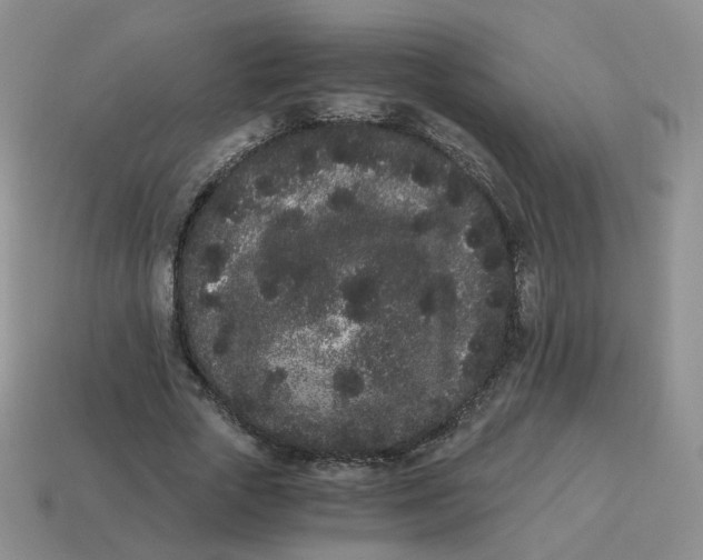 X0000114520729200911091150