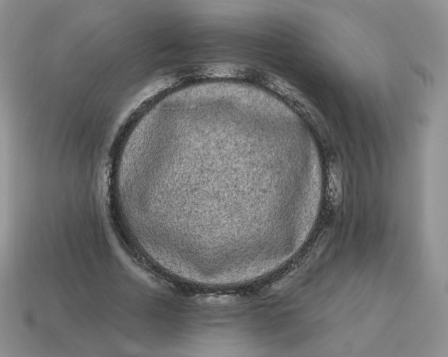 X0000114520730200911091150