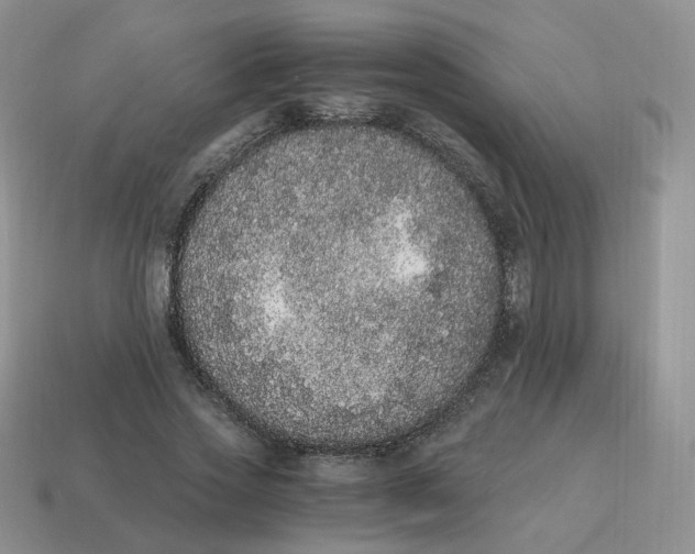 X0000114520733200911091150