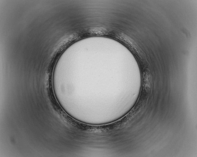 X0000114520738200911091150