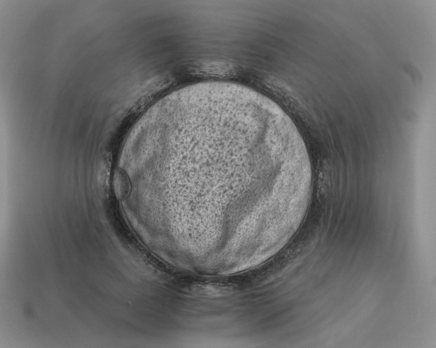 X0000114520739200911091150