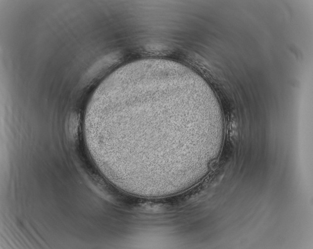 X0000114520742200911091150