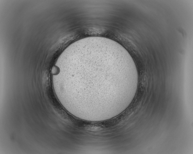 X0000114520743200911091150