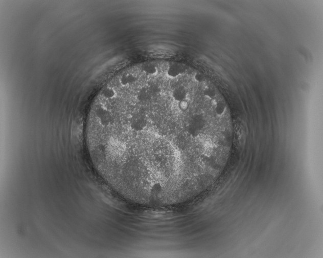 X0000114520745200911091150