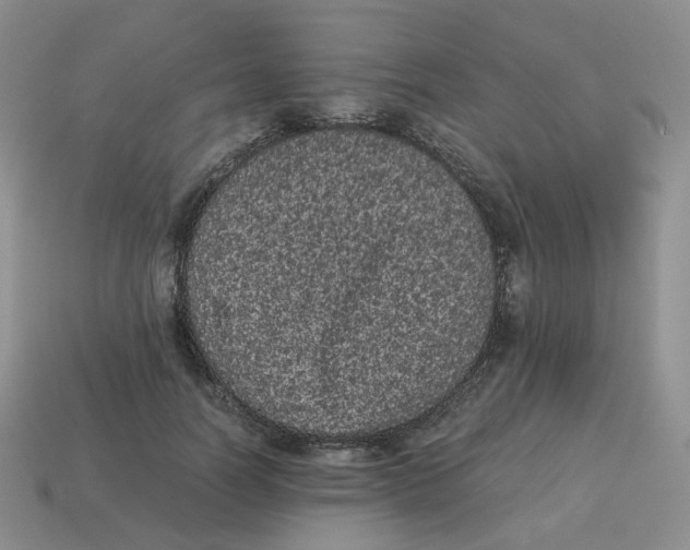 X0000114520746200911091150