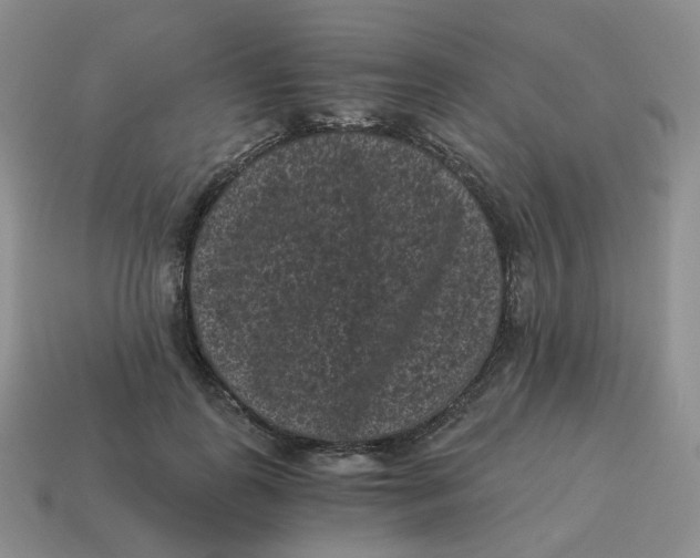 X0000114520747200911091150