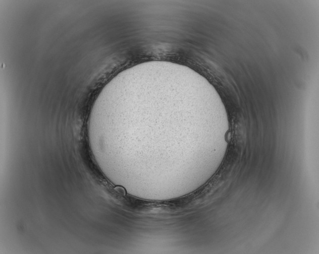 X0000114520750200911091150