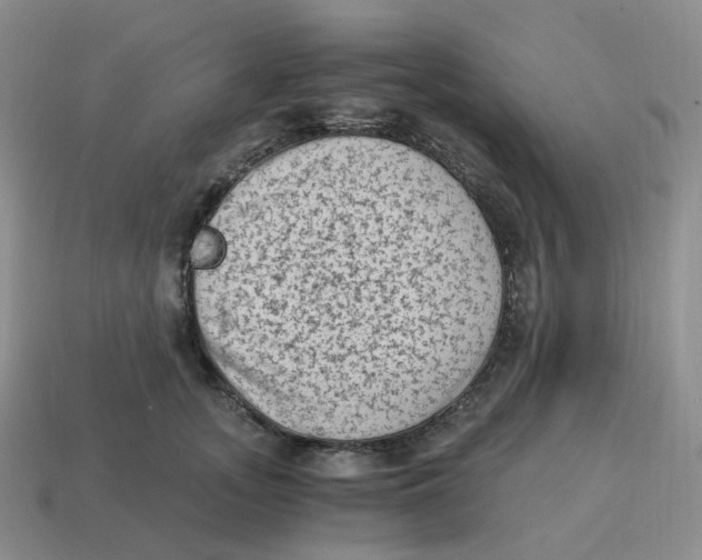 X0000114520755200911091150