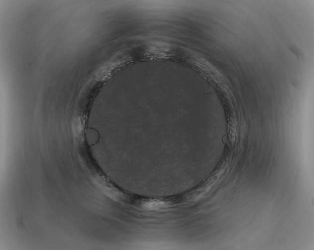 X0000114520759200911091150