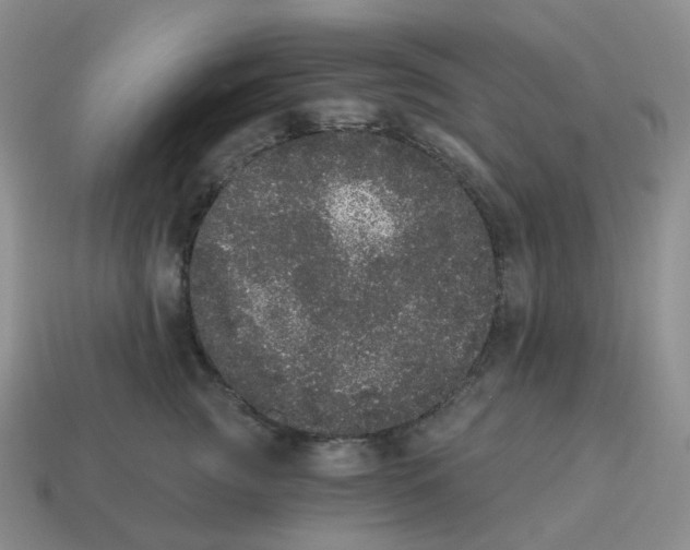 X0000114520761200911091150