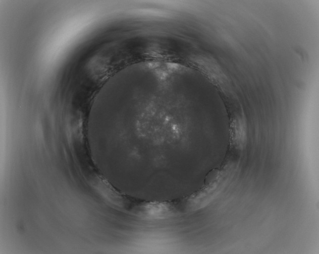 X0000114520762200911091150