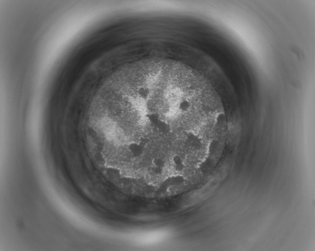 X0000114520765200911091150