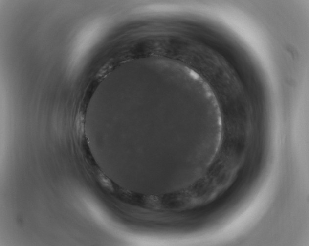 X0000114520766200911091150