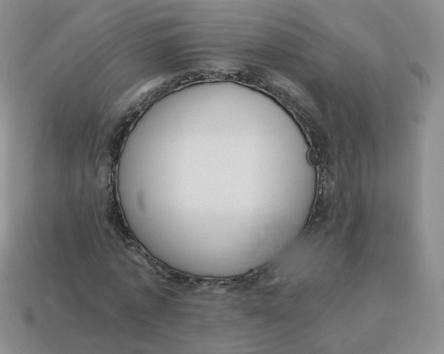 X0000114520773200911091150