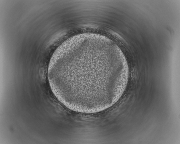 X0000114520774200911091150