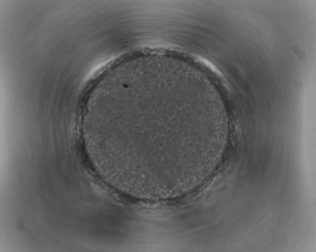 X0000114520775200911091150