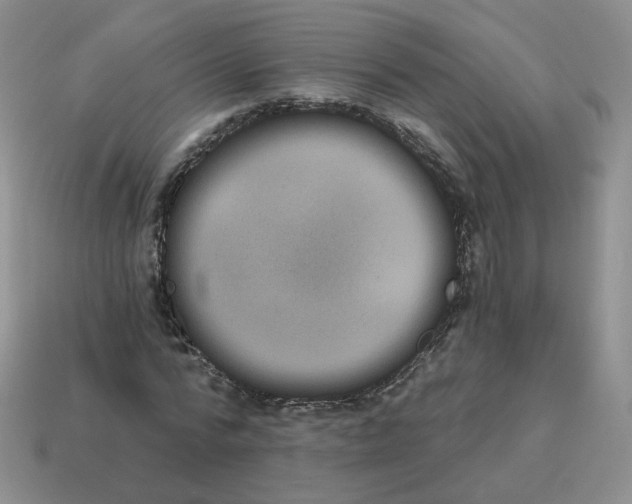 X0000114520776200911091150