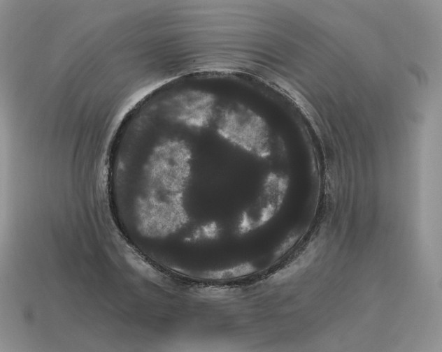 X0000114520779200911091150