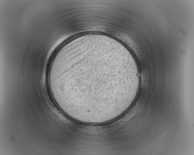 X0000114520780200911091150