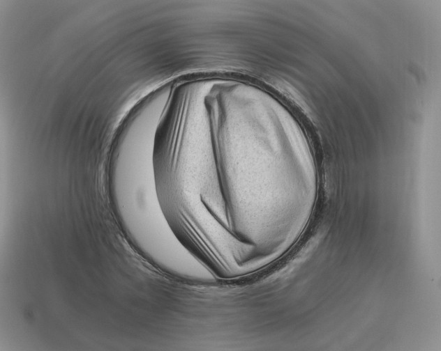 X0000114520781200911091150