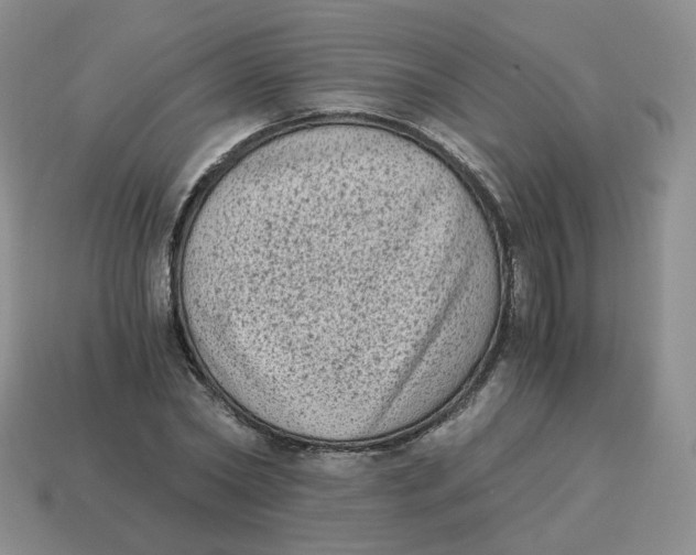 X0000114520782200911091150