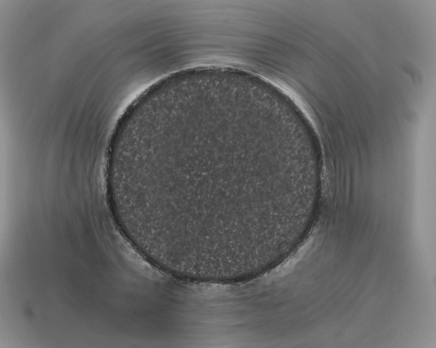 X0000114520783200911091150