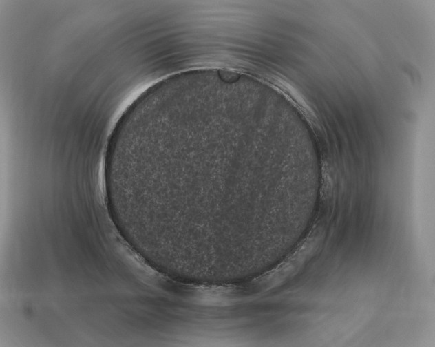 X0000114520788200911091150