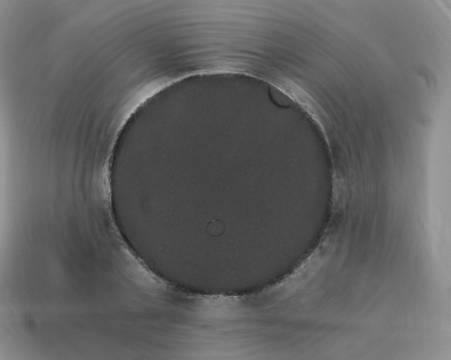 X0000114520789200911091150