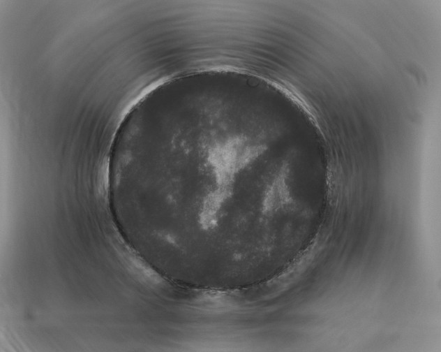 X0000114520790200911091149