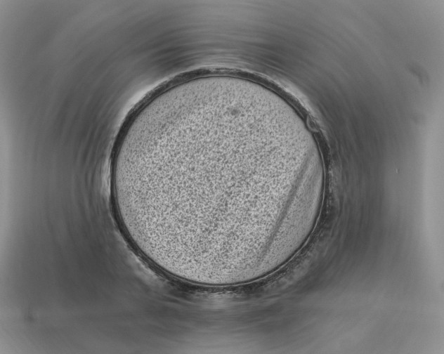 X0000114520791200911091149