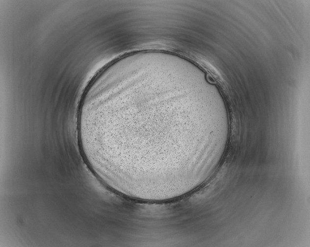 X0000114520800200911091149