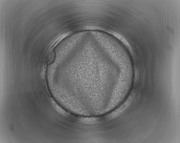 X0000114520801200911091149