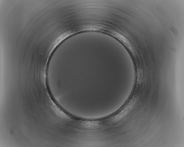 X0000114520802200911091149