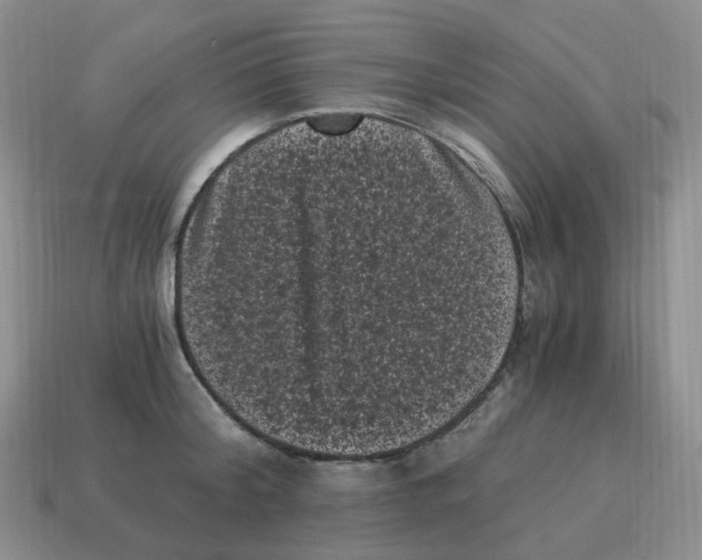 X0000114520804200911091149