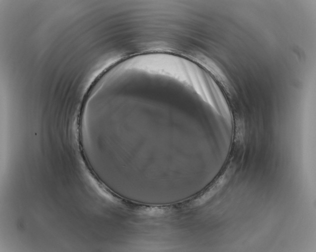 X0000114520806200911091149