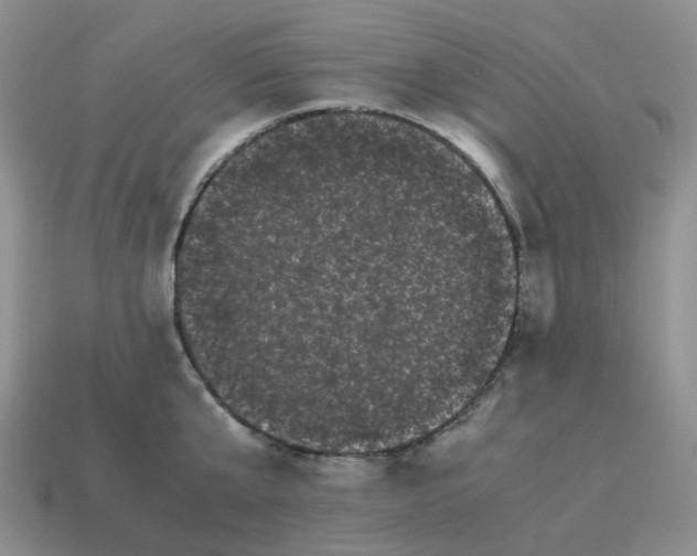 X0000114520807200911091149