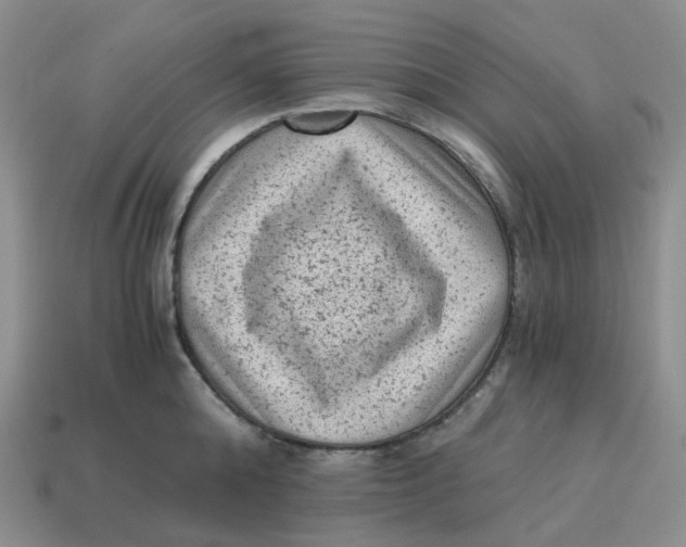 X0000114520808200911091149