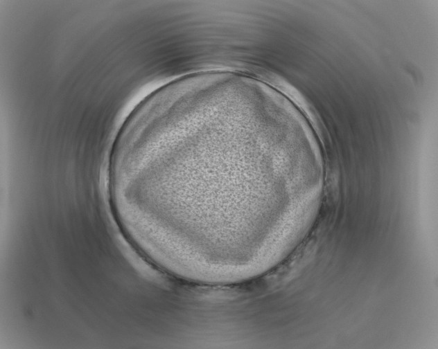 X0000114520811200911091149