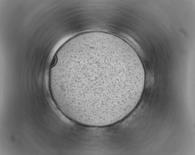 X0000114520812200911091149