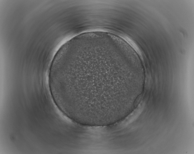 X0000114520813200911091149