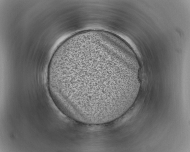 X0000114520815200911091149