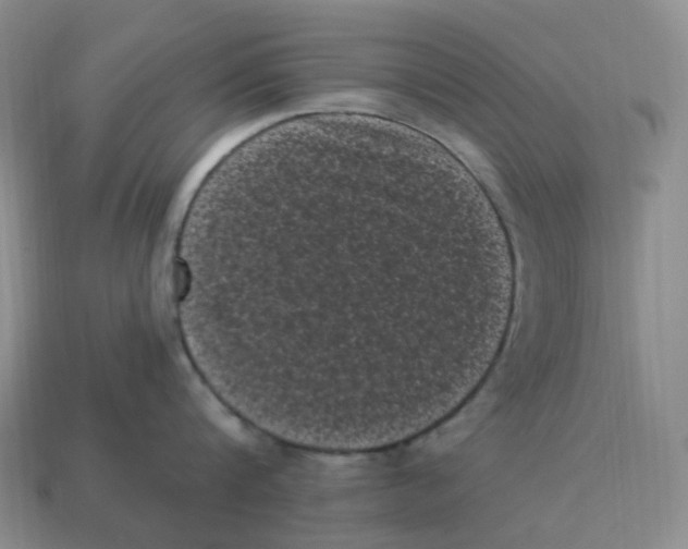 X0000114520816200911091149