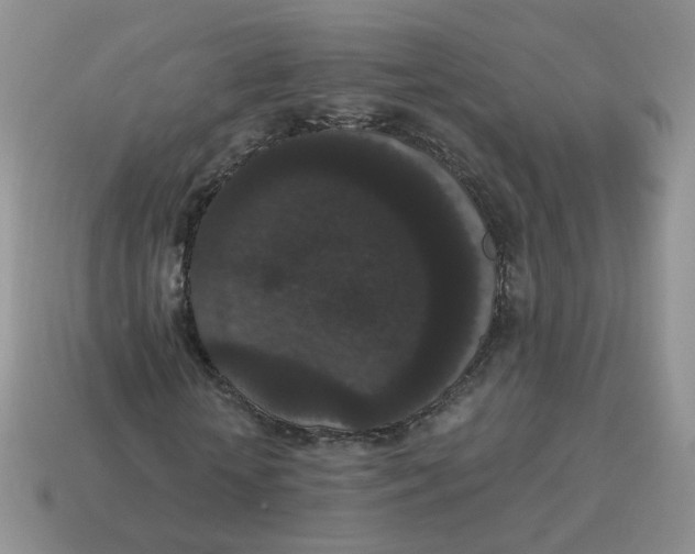 X0000114520818200911091149